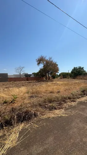 Lote-luzimangues