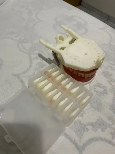 Manequim de dentística - Dent Art