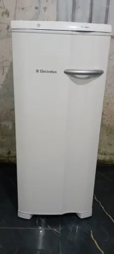 Freezer vertical
