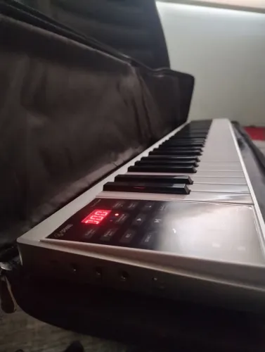Teclado spring seasons 61