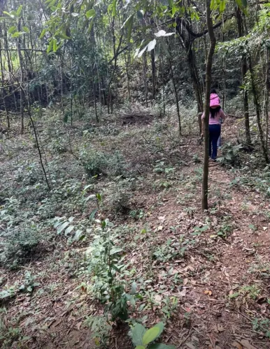 Vendo chácara 1000 MTS