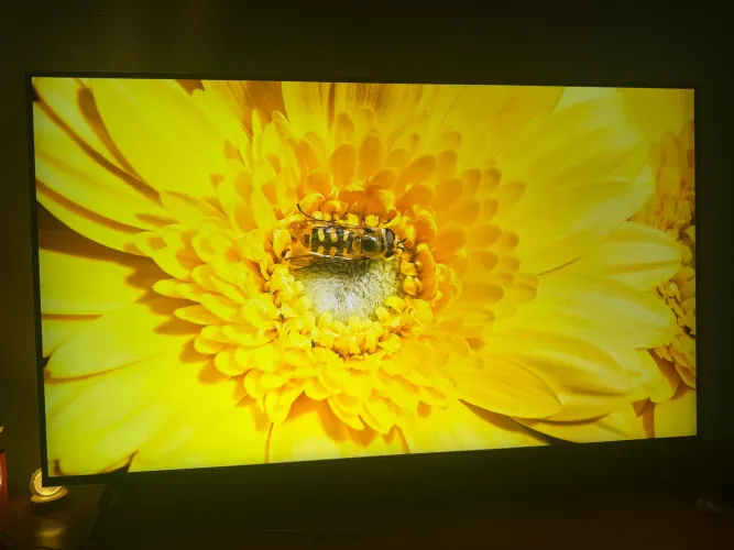 Tv 55 polegadas Nanocell smart 4k com comando de voz