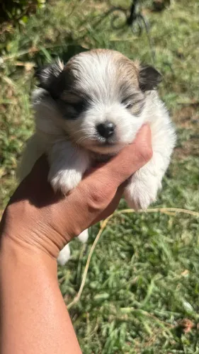 Disponível para venda