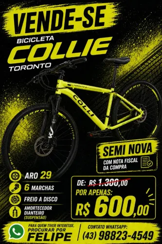Bicicleta Urbana Collie Toronto aro 29