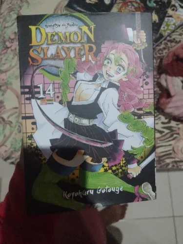 Mangá Demon Slayer Volume 14