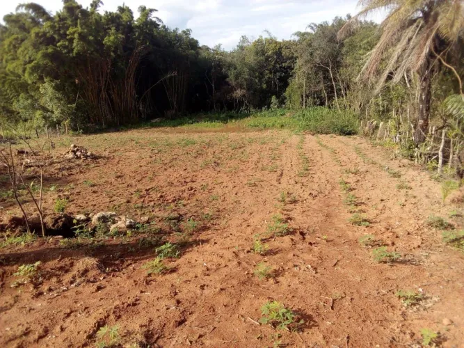 Vende-se lote em Piedade dos Gerais - MG