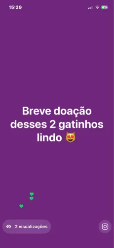 Doação 
