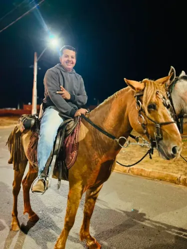 Cavalo bom de arreio e de carroça 