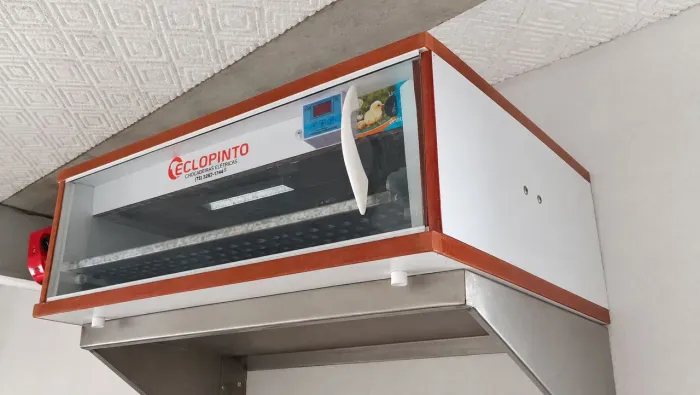 Chocadeira Eclopinto 72 ovos