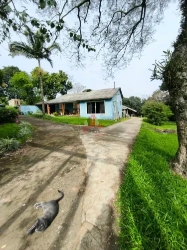 Oportunidade Chácara de 4 dormitórios e piscina em Sapucaia do Sul REF: 5557