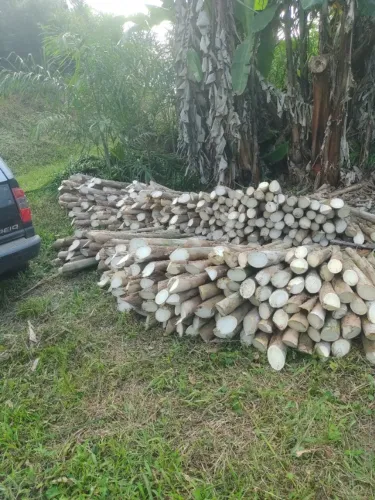 SÍTIO 5 ALQUEIRES COM PUPUNHA, MACADAMIA E CAFÉ