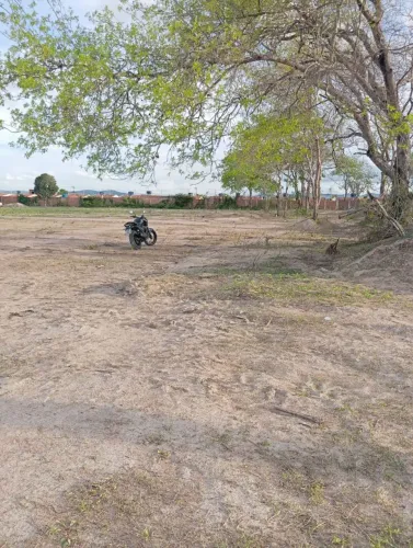 Terrenos disponíveis no xique xique 