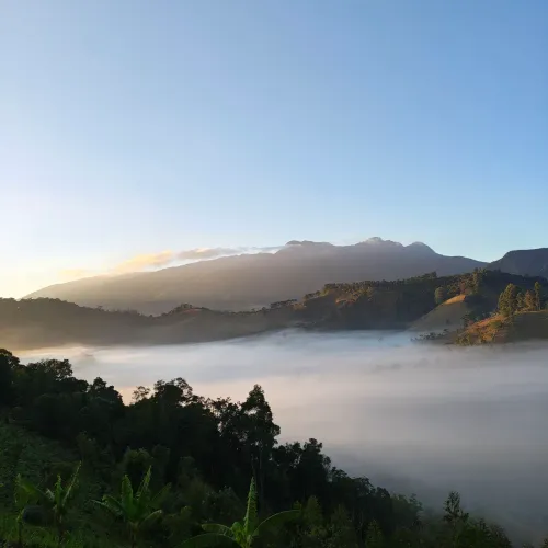 Lote Barato e Documentado na Serra da Mantiqueira - Marmelópolis - MG
