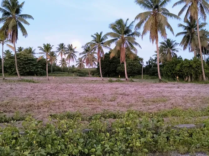 Lotes em Porto de Galinhas!