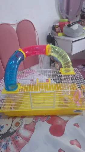 Gaiola para hamster
