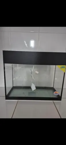 Aquário