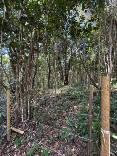Lote à venda em Olhos D?Água, Malhadas | Mata de São João