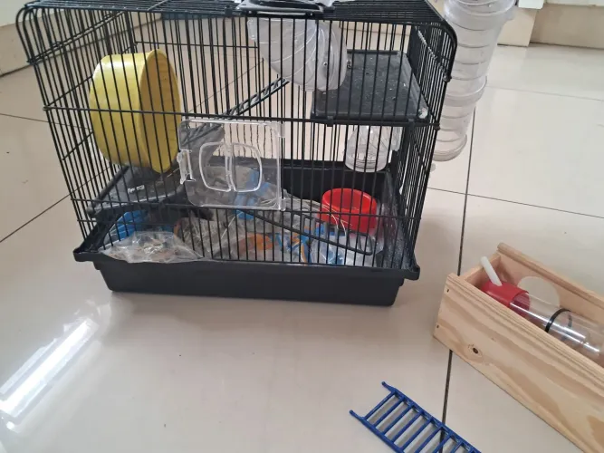 Casinha hamster luxo