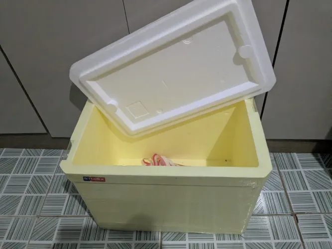 Caixa de isopor 21L