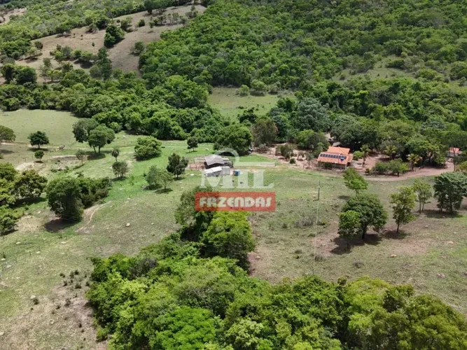 Fazenda 10 alqueires (48,4 hectares) Mairipotaba - Go