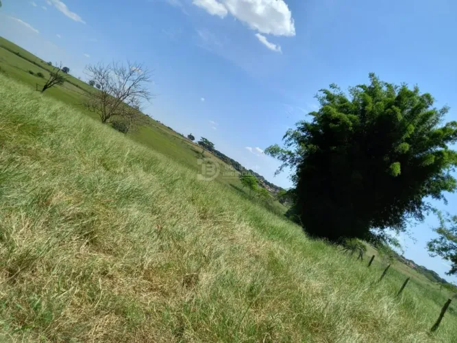 Excelente oportunidade em Dracena-SP!