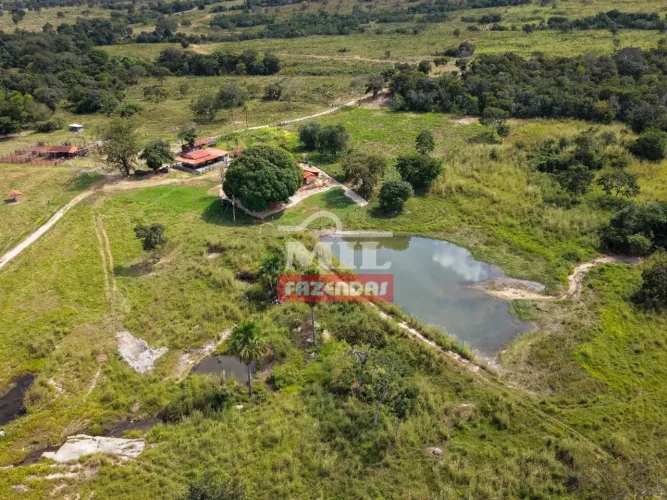 Fazenda 503 Alqueires (2.438 hectares) Araguaçu - TO
