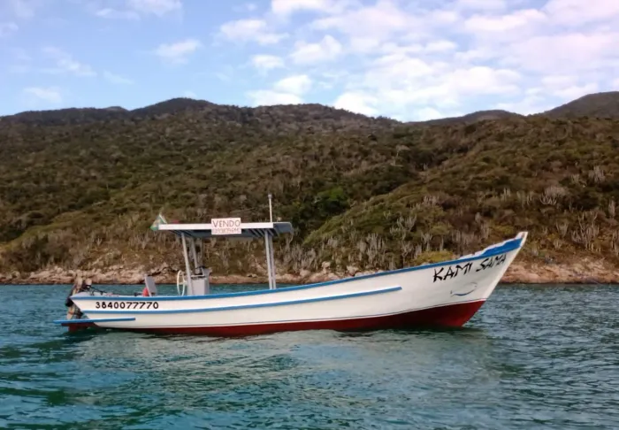 Vendo barco estilo lancha