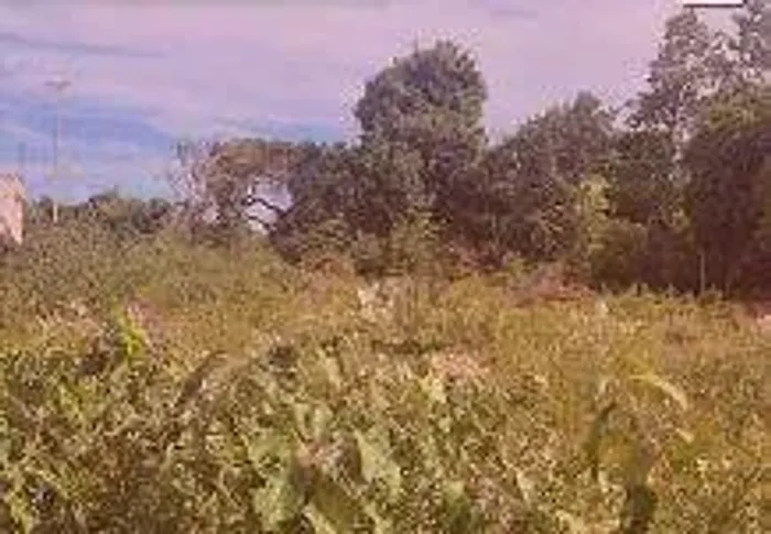 Terreno no Portal do Sol - TE0006