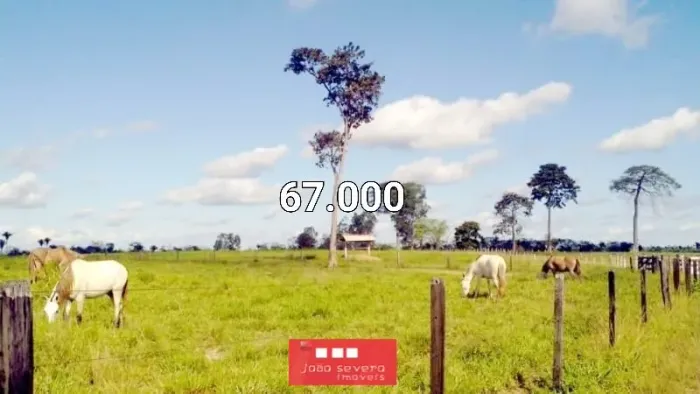 Fazenda para Venda em Redenção