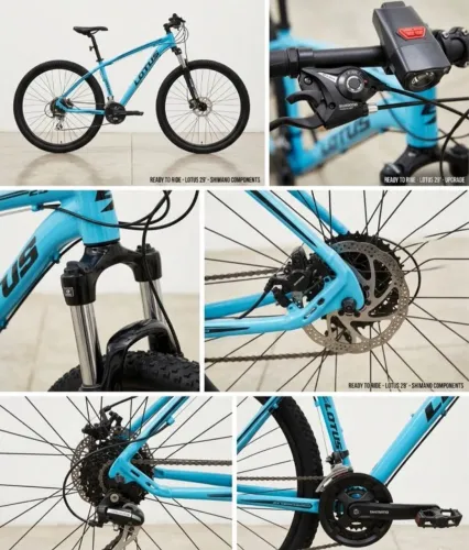 Bicicleta Lótus Aro29
