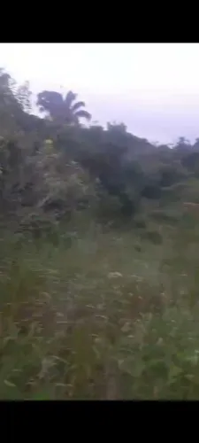 Terrenos em santa Leopoldina barato