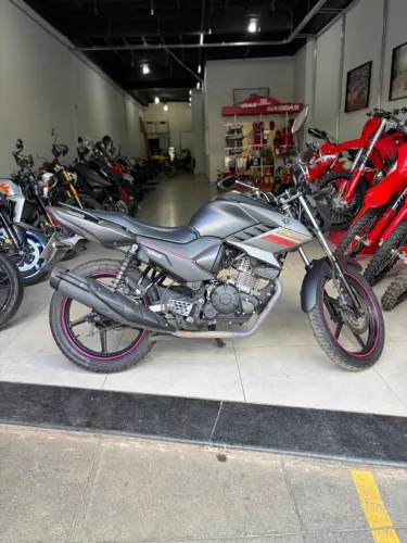 Fazer fz15 19/20