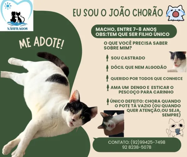 Adoção 