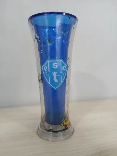TAÇA DO PAYSANDU