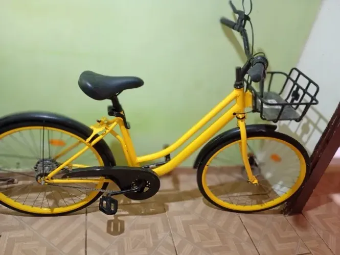 Bicicleta linda 