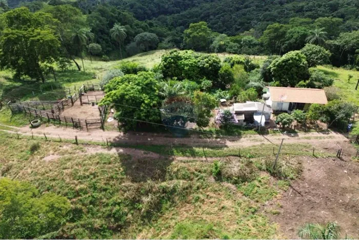 FAZENDA SÃO FRANCISCO DO BORJA A VENDA - PERDIZES/MG