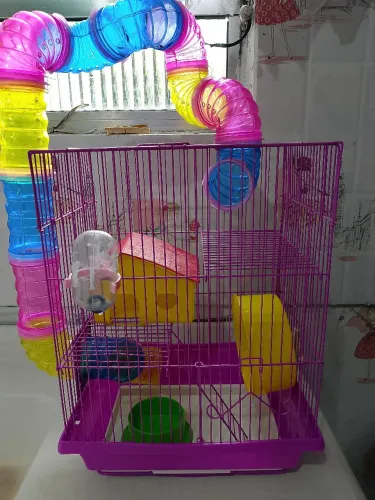 Gaiola de hamster