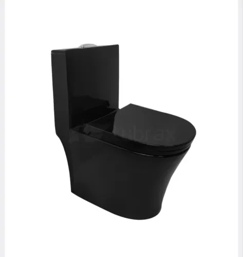 Sanitário preto