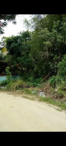 Ponte Preta Jardim Interlagos 