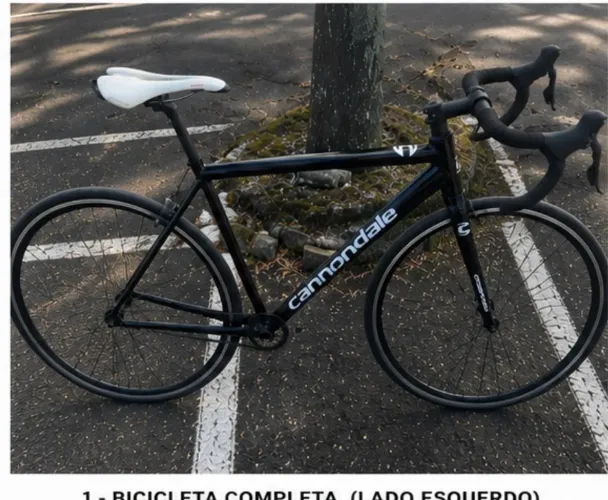Frame Speed Tamanho 54