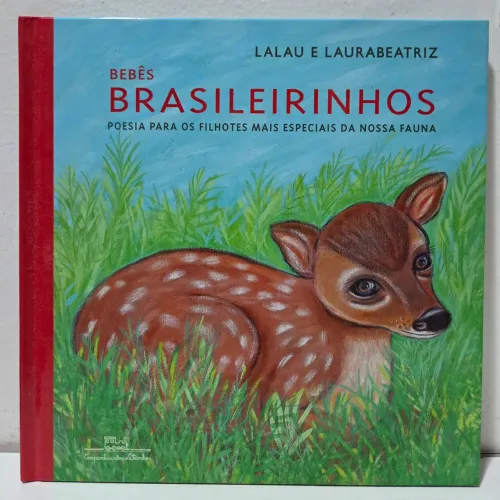 Livro 'Bebês Brasileirinhos' em excelente estado de conservação 
