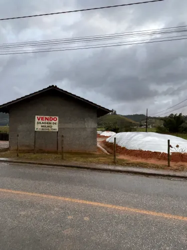 Silagem, silo de milho