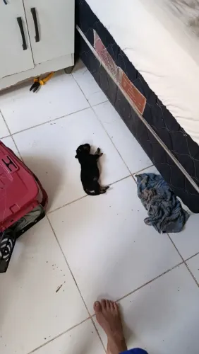 Aluga-se Kit Net em outeiro.