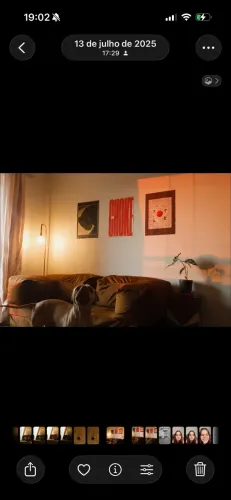 Sofá Cama estilo sofá na caixa 