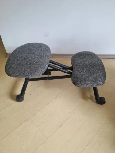 Cadeira Ergonômica (usada)
