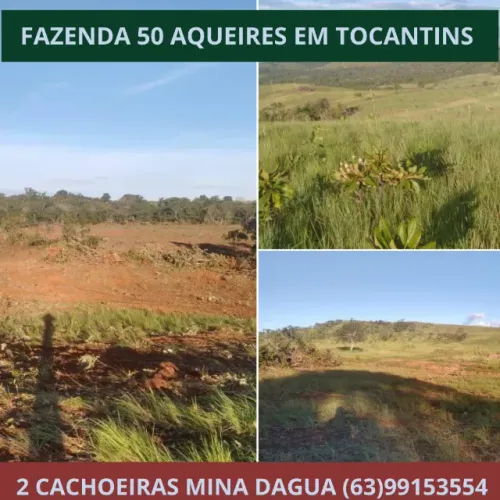 Fazenda no Tocantins, Porto Nacional, 50 alqueires, Terra, Lavoura, Platanção, Soja, Cana
