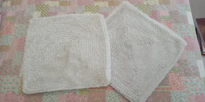 2 capas de almofada brancas da Cobra e Lagartos