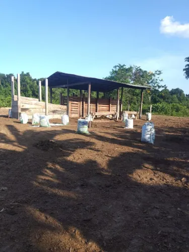 Vendo Estrume de Gado