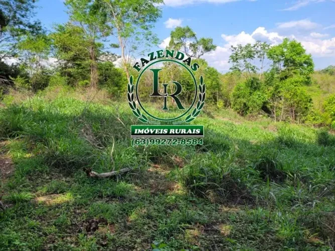 Fazenda Dupla Aptidão Tocantins