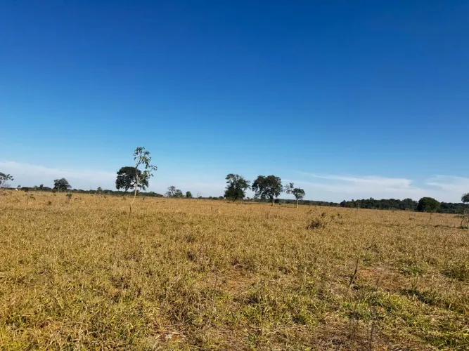 Fazenda de 102 alqueires em Arenópolis-GO